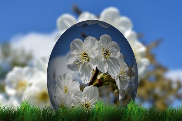 Jaro a Velikonoce | Nový Fénix